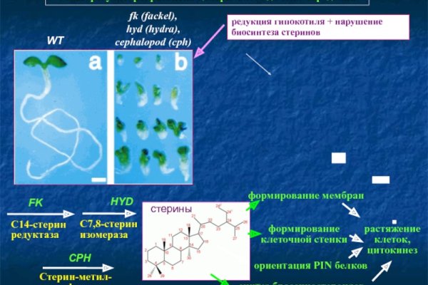 Почему не могу зайти на кракен