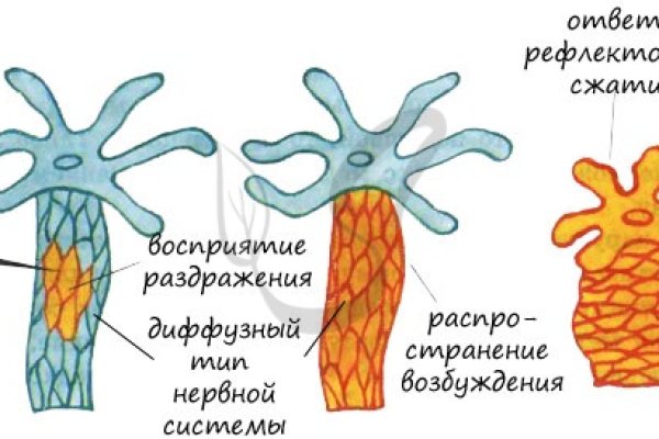 Кракен адрес