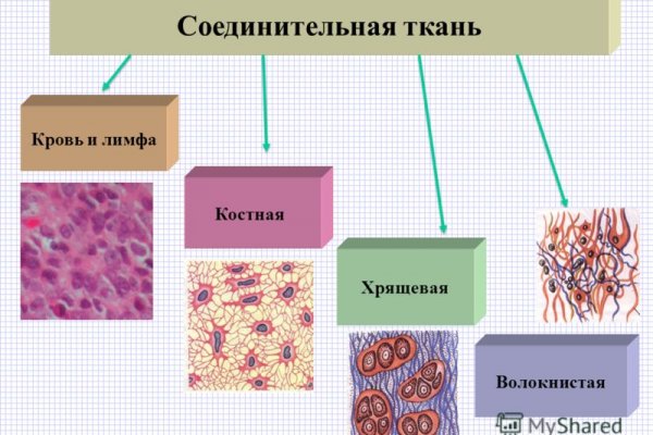 Кракен зеркало tor xn krakn 7ra com